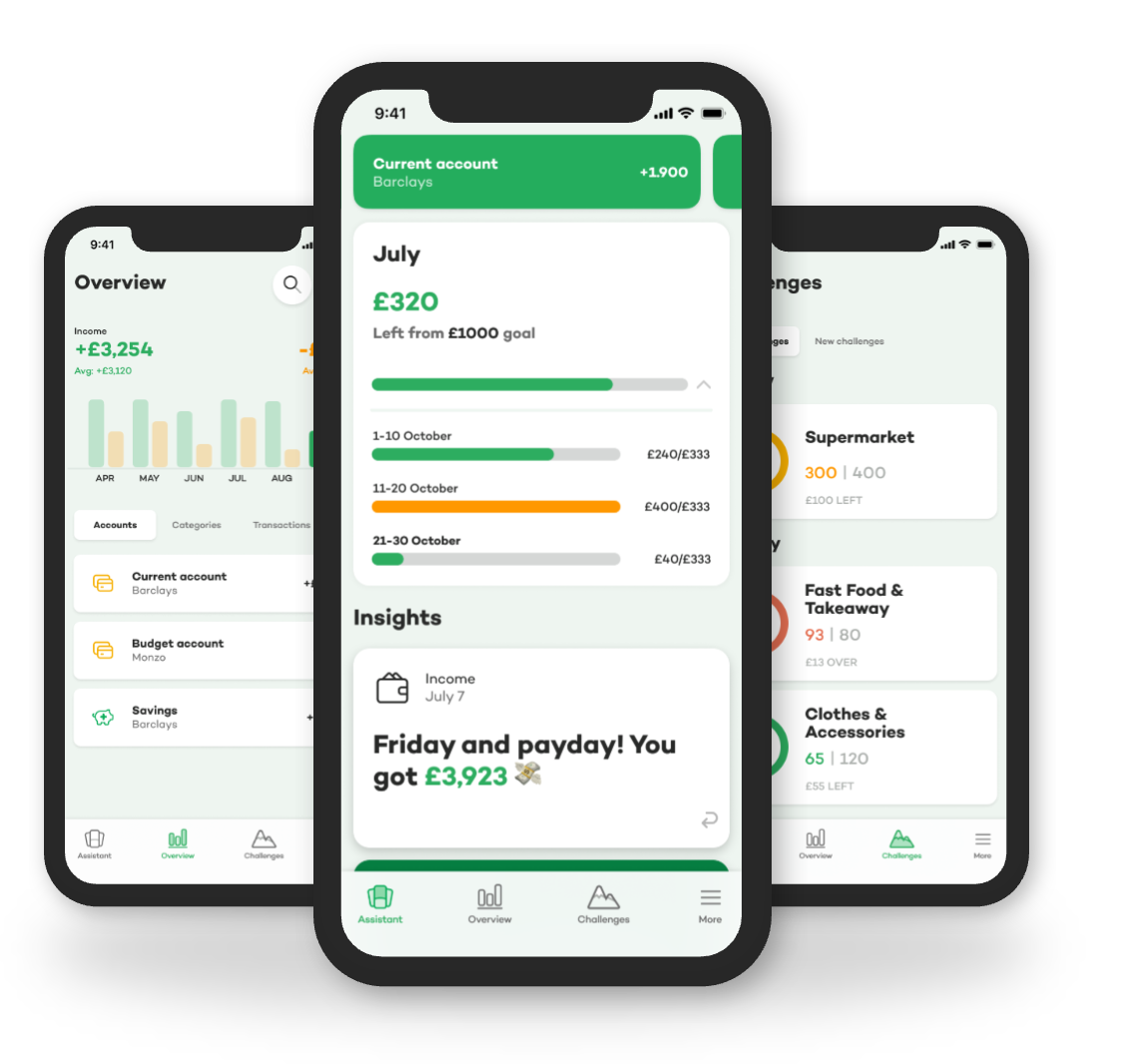 Showing the Spiir app overview page